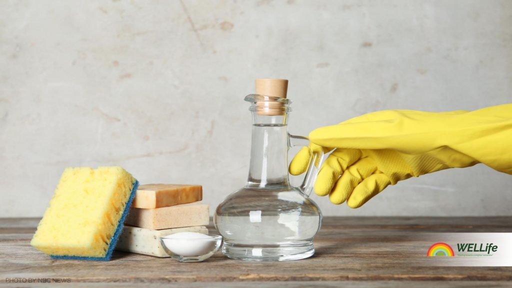 Toilet Cleaning with Vinegar